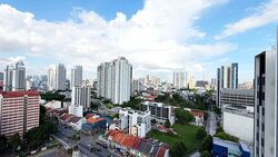 Uptown @ Farrer (D8), Apartment #486704471